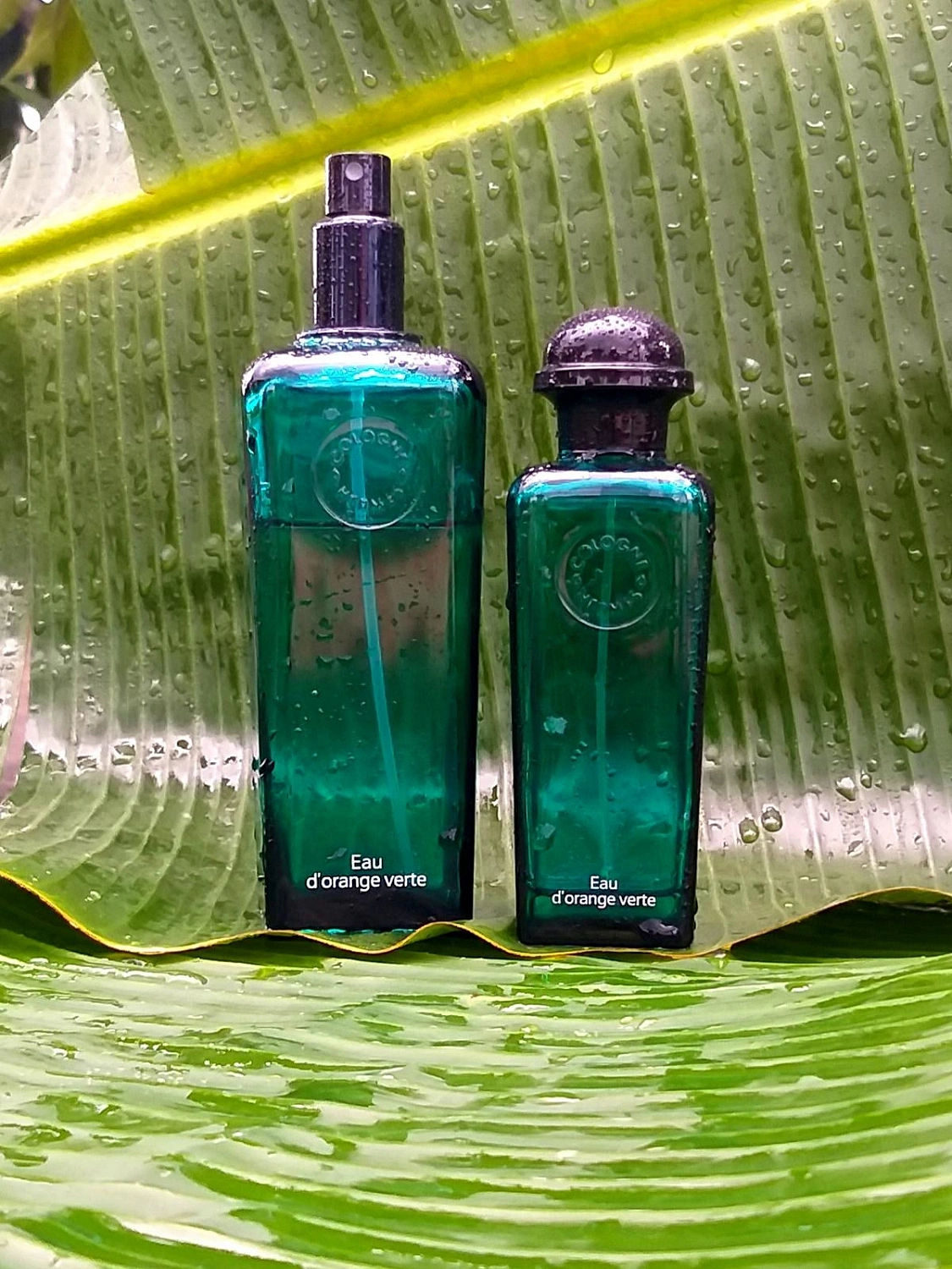 Hermès Eau D'Orange Verte