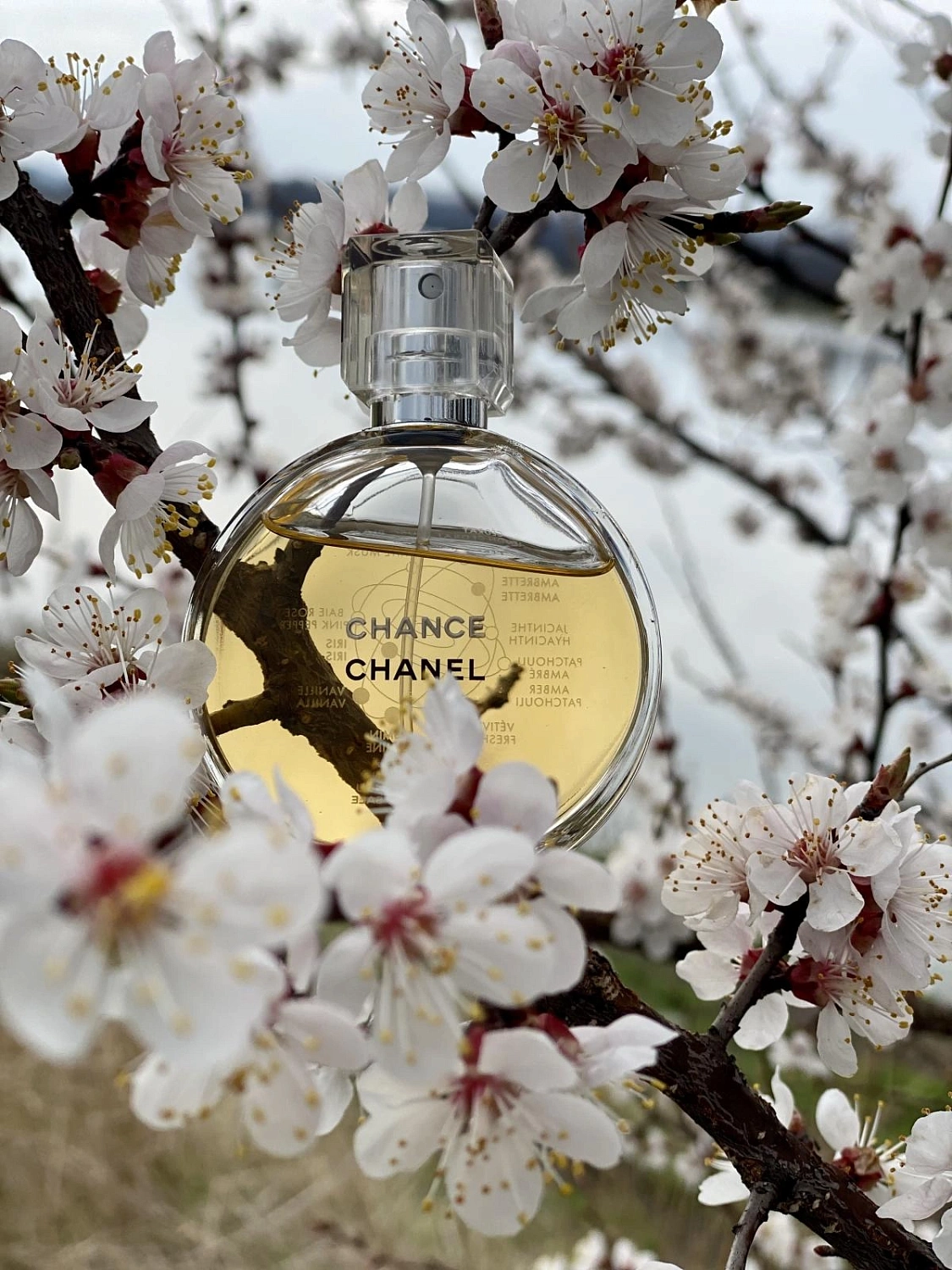 Chanel Chance Parfum