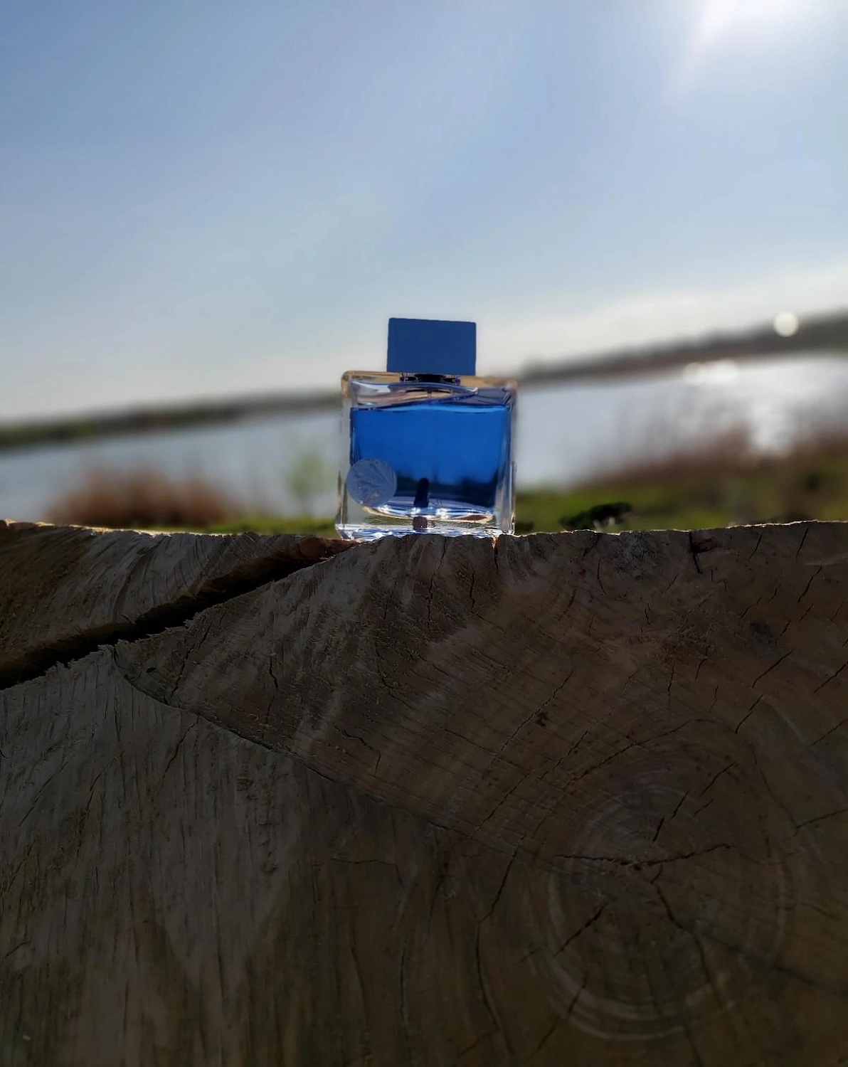 Antonio Banderas Blue Seduction