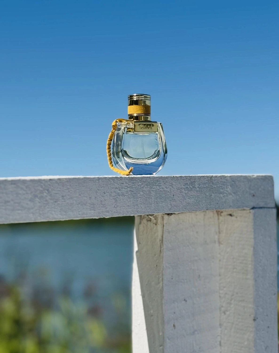 Chloé Nomade Jasmin Naturel