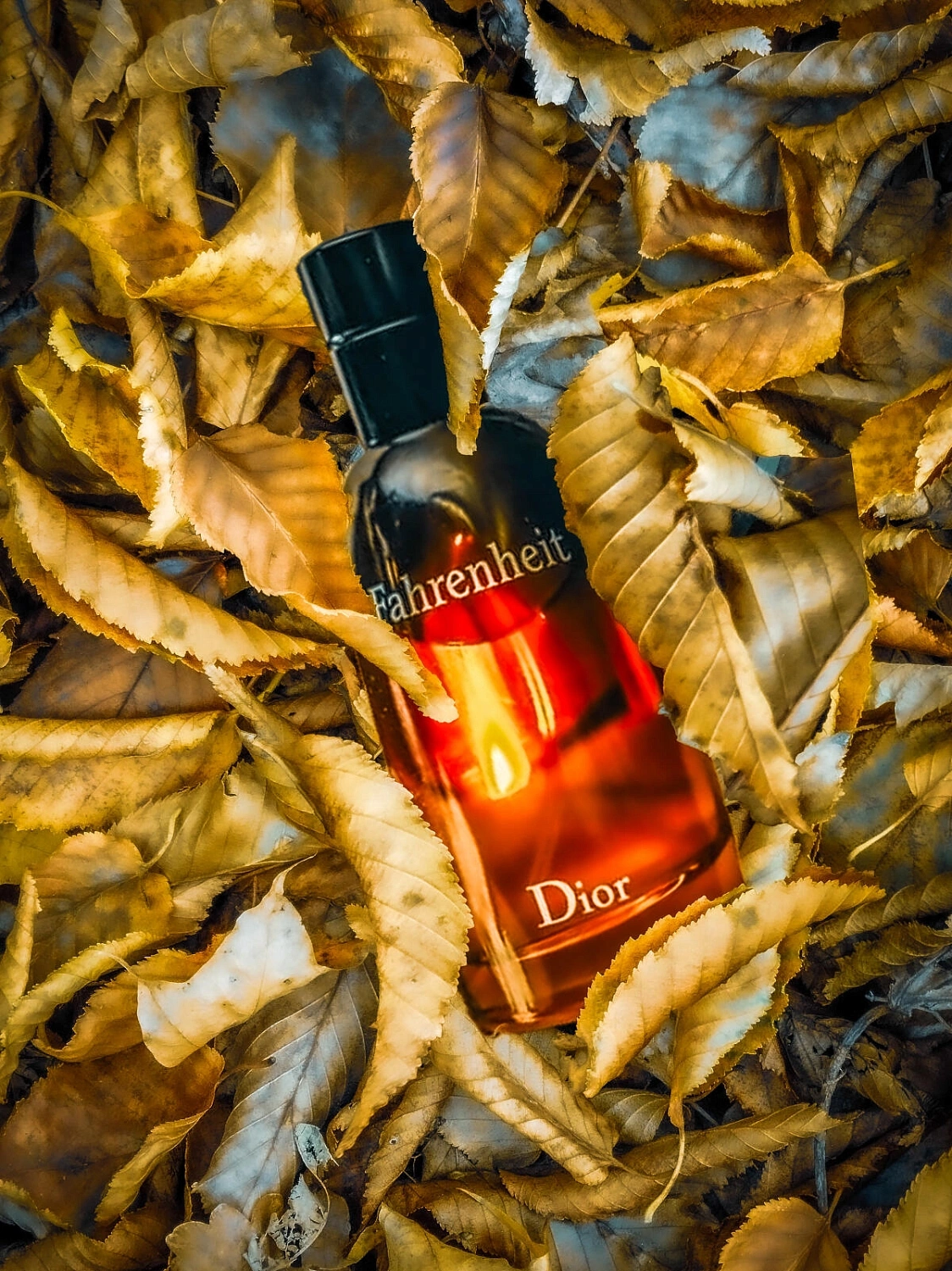 Christian Dior Fahrenheit