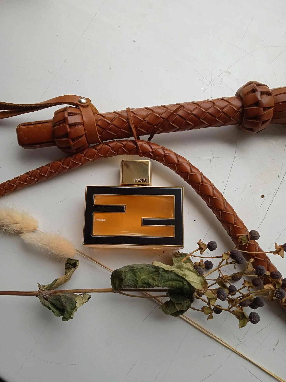 Fan di Fendi Extreme