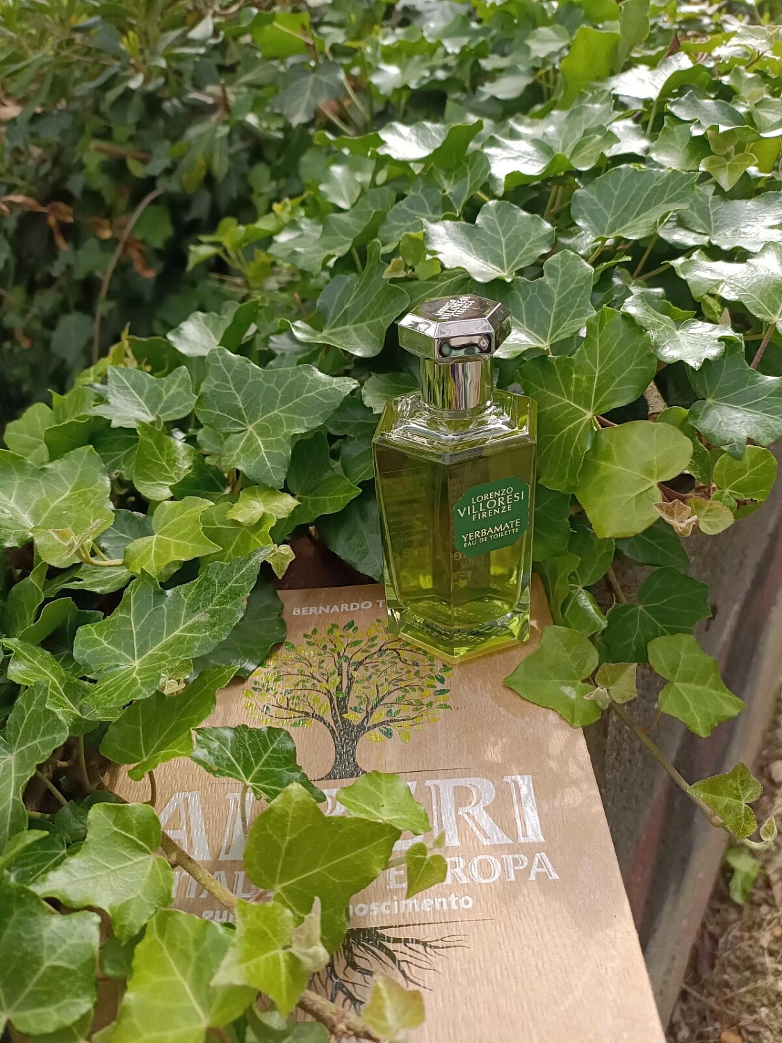 Lorenzo Villoresi Yerbamate