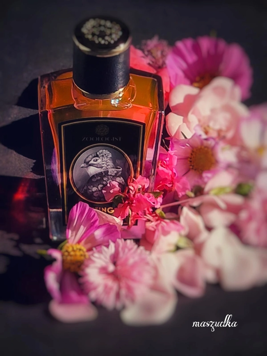 Zoologist Perfumes Nightingale