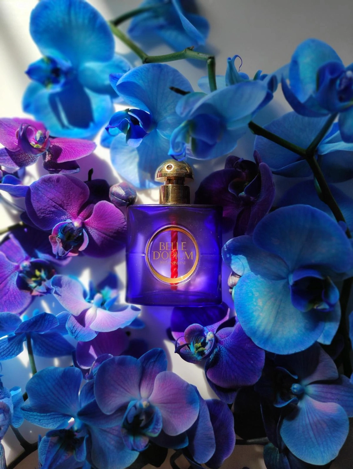 Yves Saint Laurent Belle d'Opium