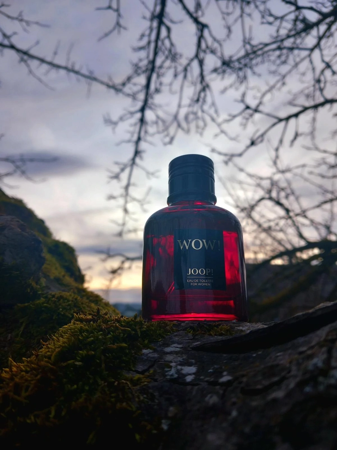 Joop! Wow! for Women