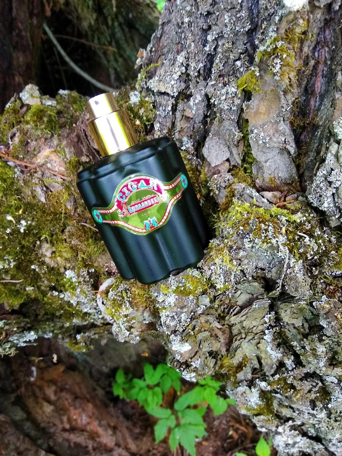 Rémy Latour Cigar Commander