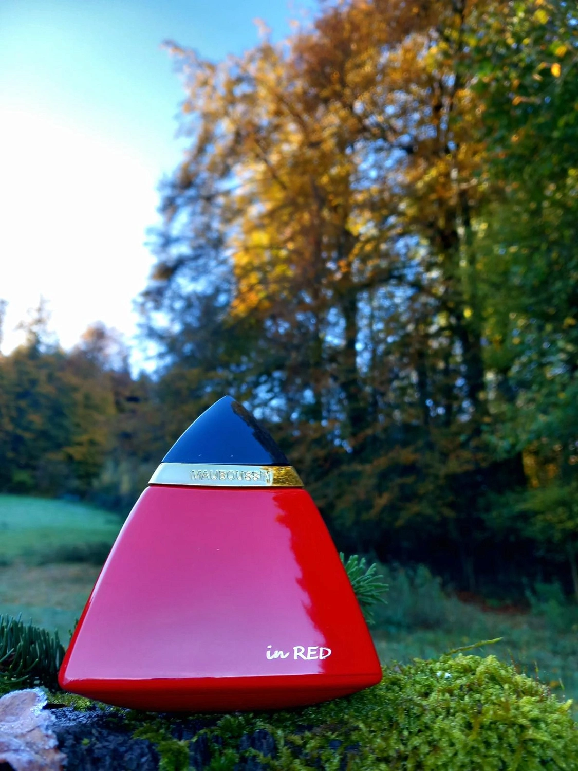 Mauboussin in Red