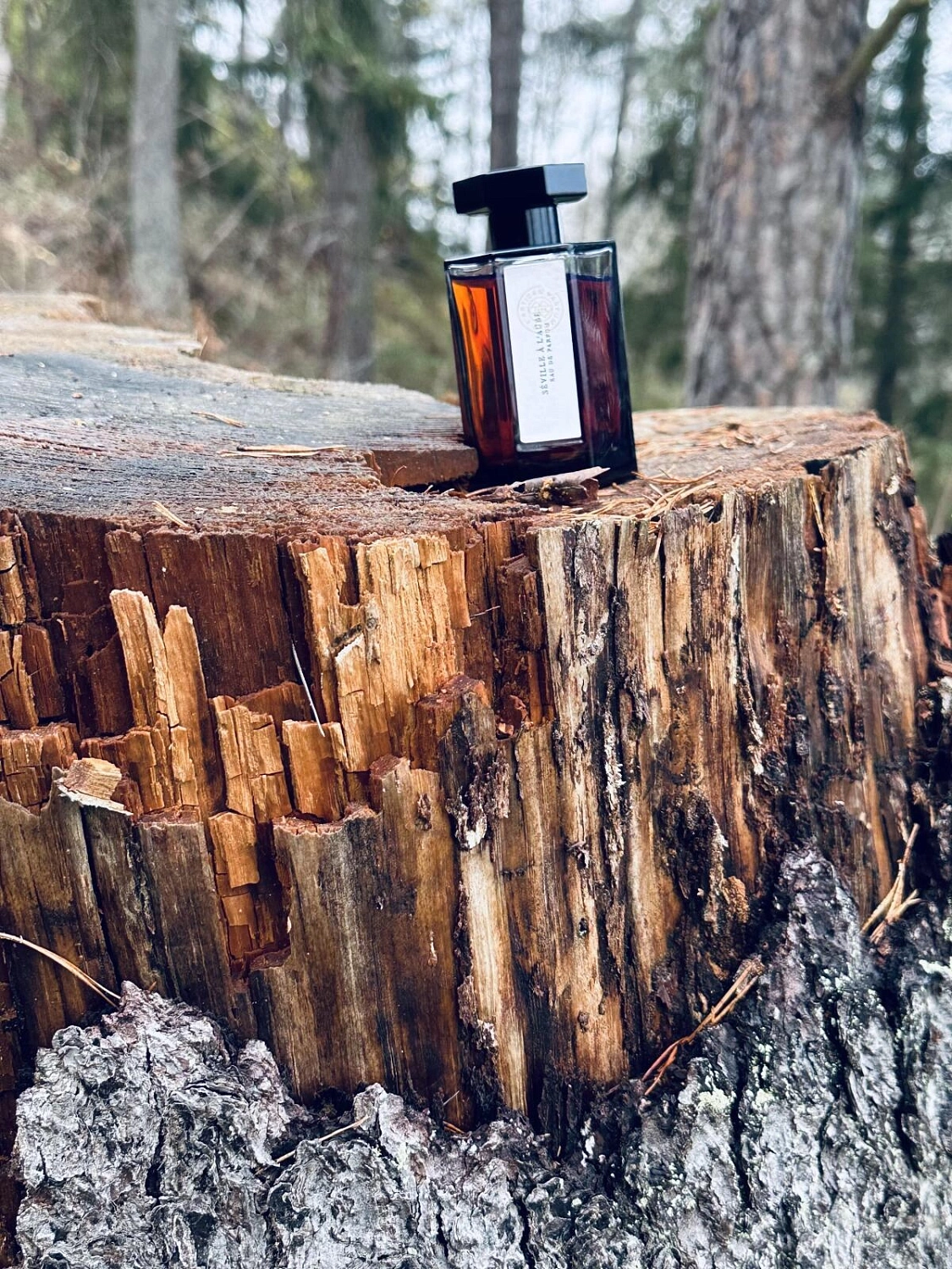 L'Artisan Parfumeur Seville a l'Aube
