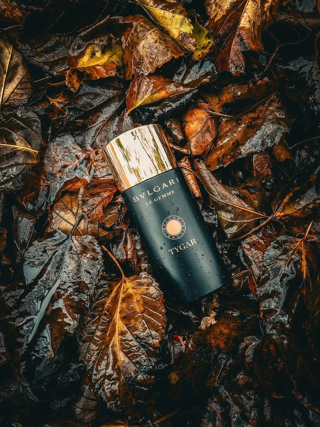 Bvlgari Tygar