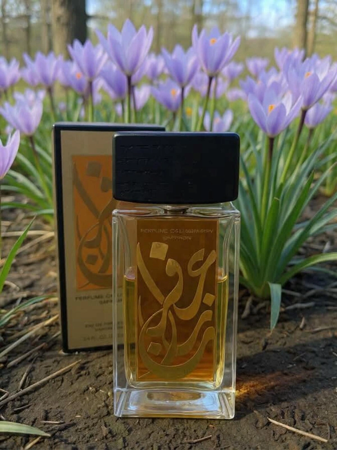 Aramis Perfume Calligraphy Saffron