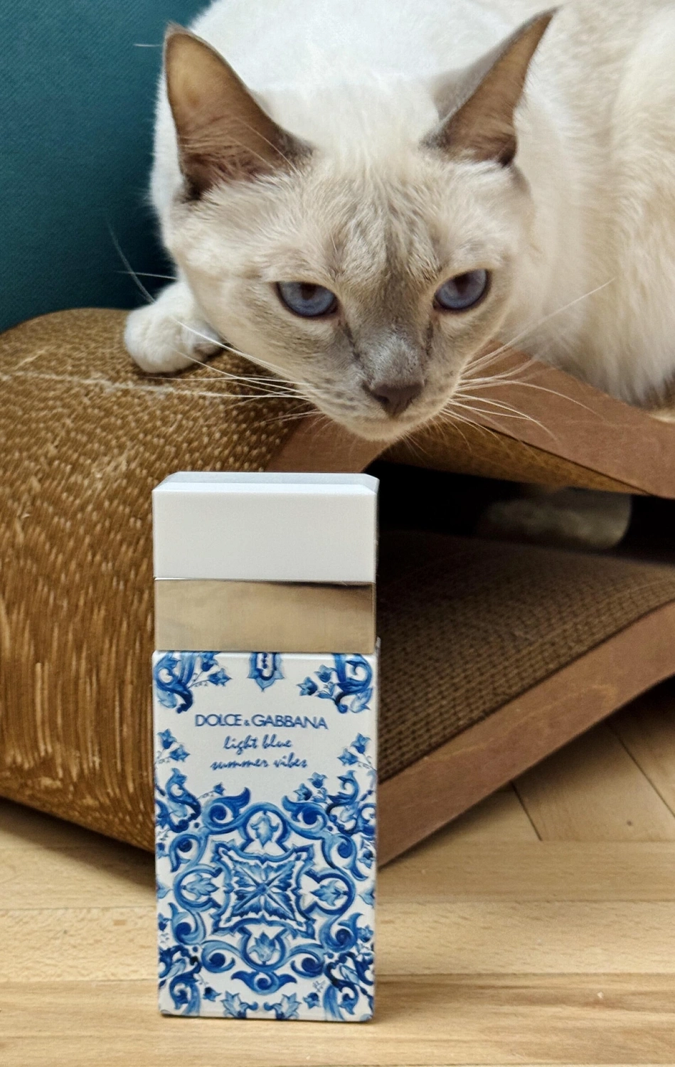 Dolce & Gabbana Light Blue Summer Vibes
