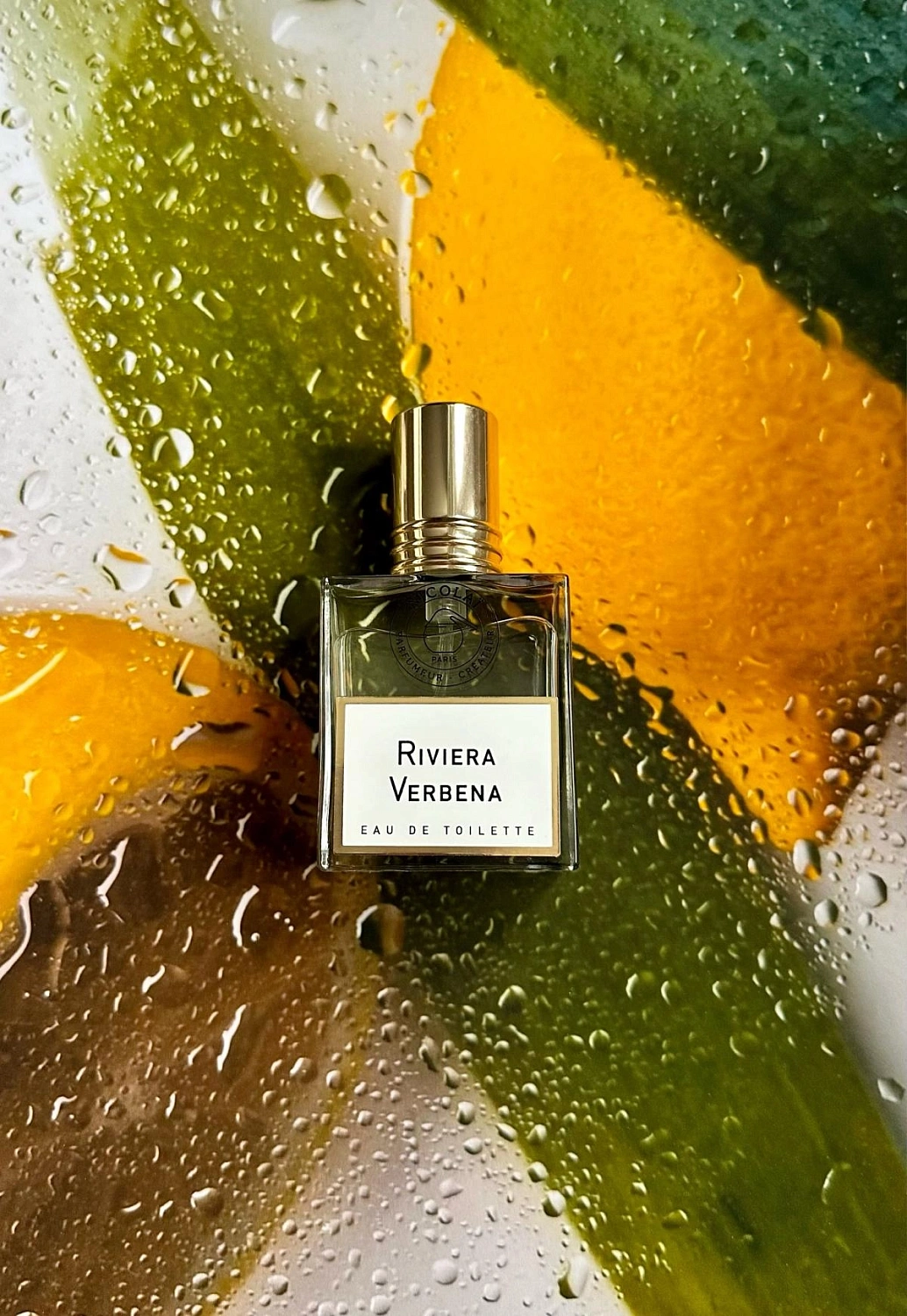 Nicolaï Riviera Verbena