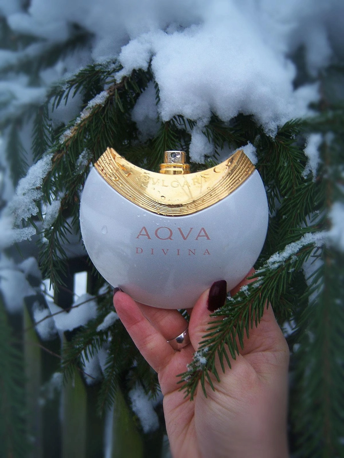 Bvlgari Aqva Divina