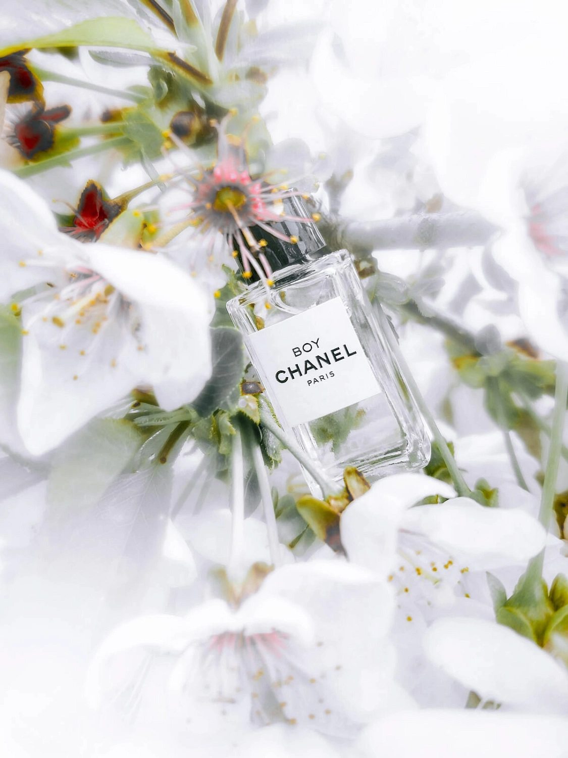 Chanel Boy