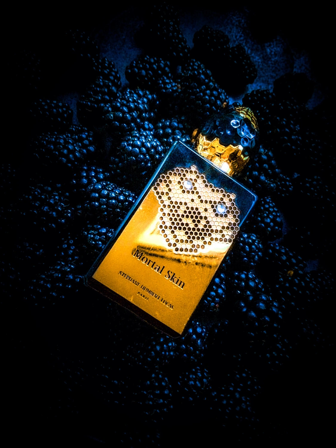 Stéphane Humbert Lucas 777 Mortal Skin