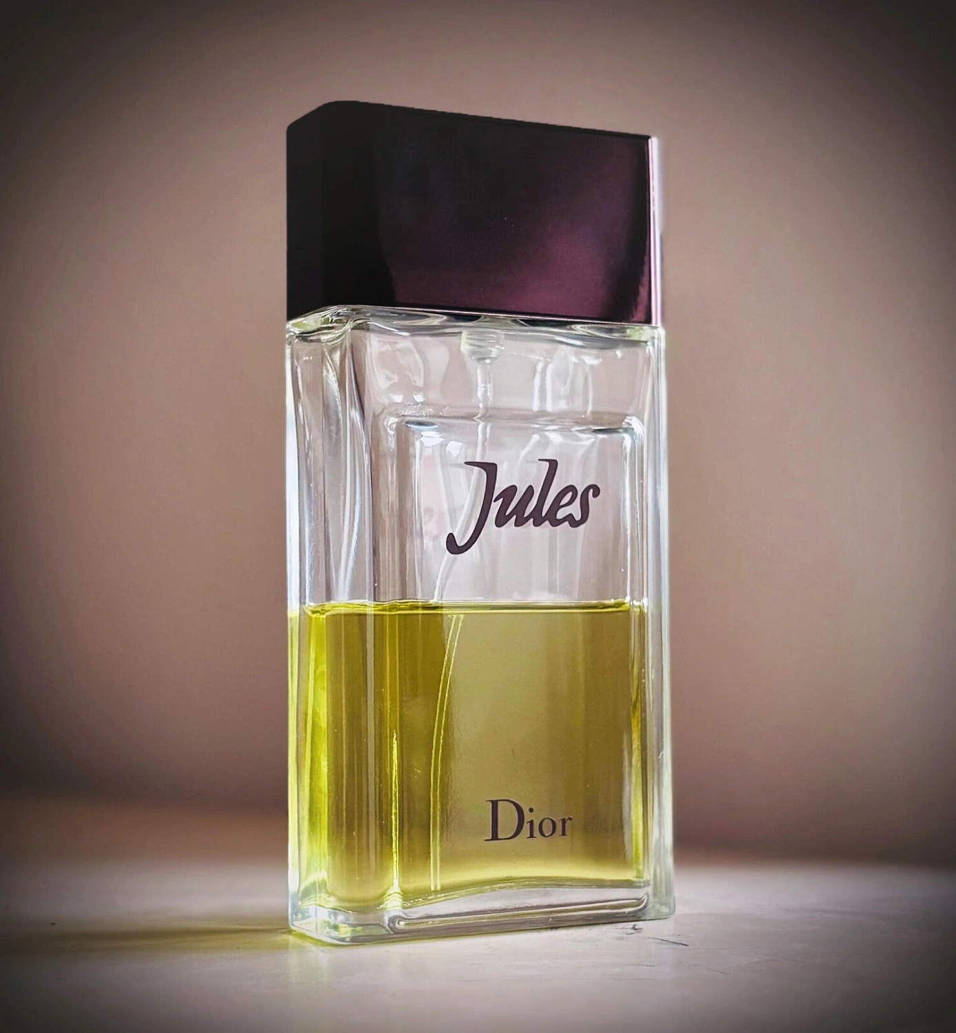 Christian Dior Jules (2016)