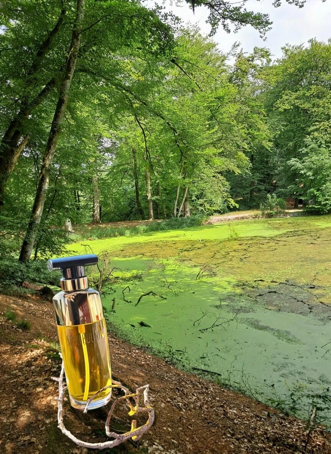 Estée Lauder SpellBound