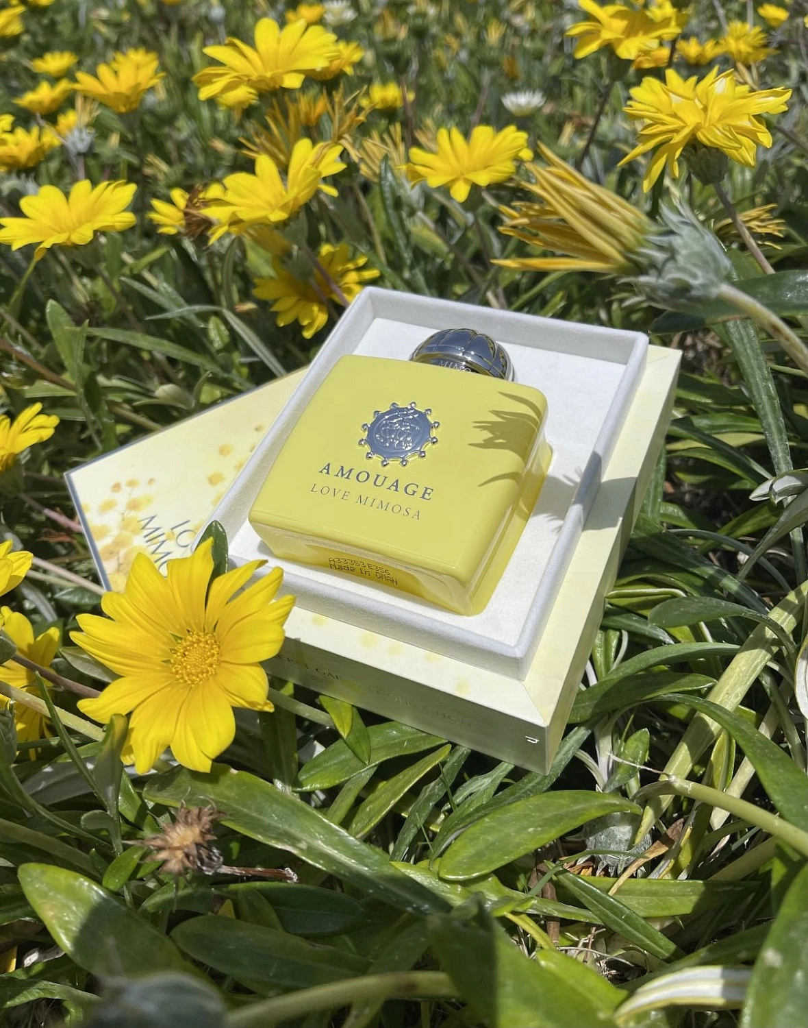 Amouage Love Mimosa
