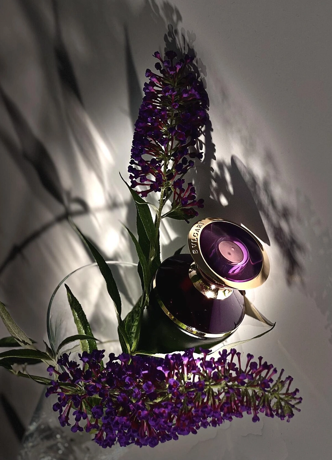 Bvlgari Ashlemah