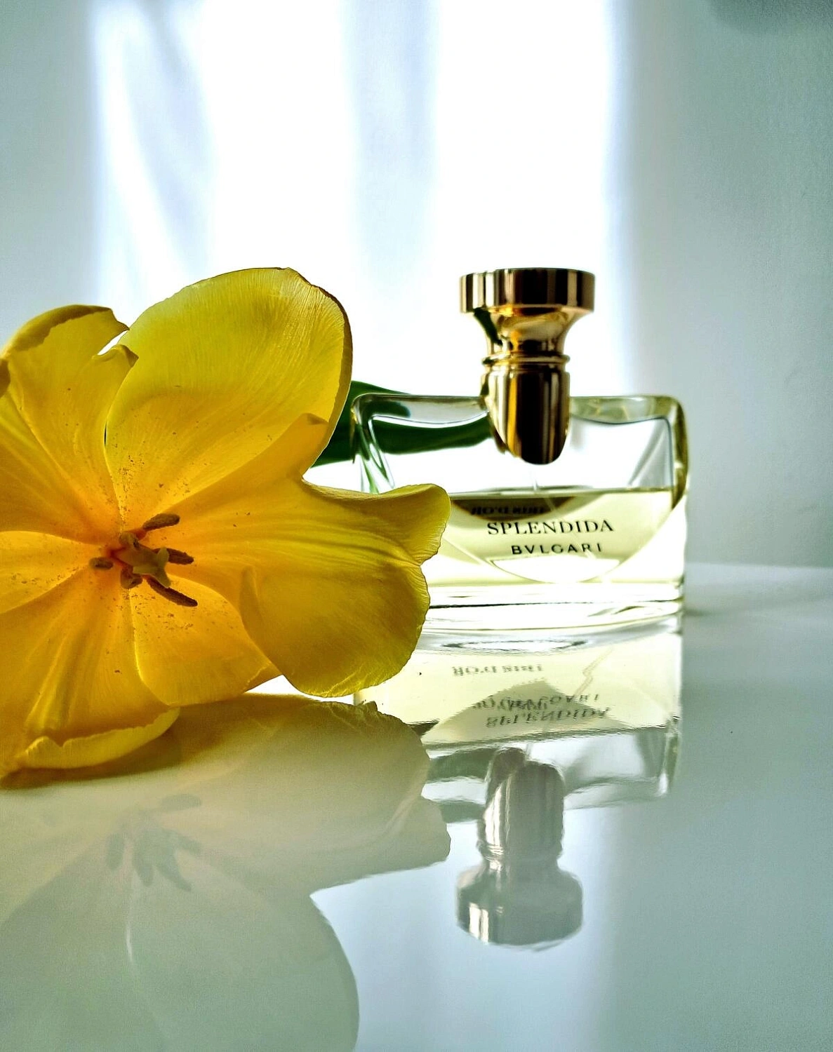Bvlgari Splendida Iris d'Or