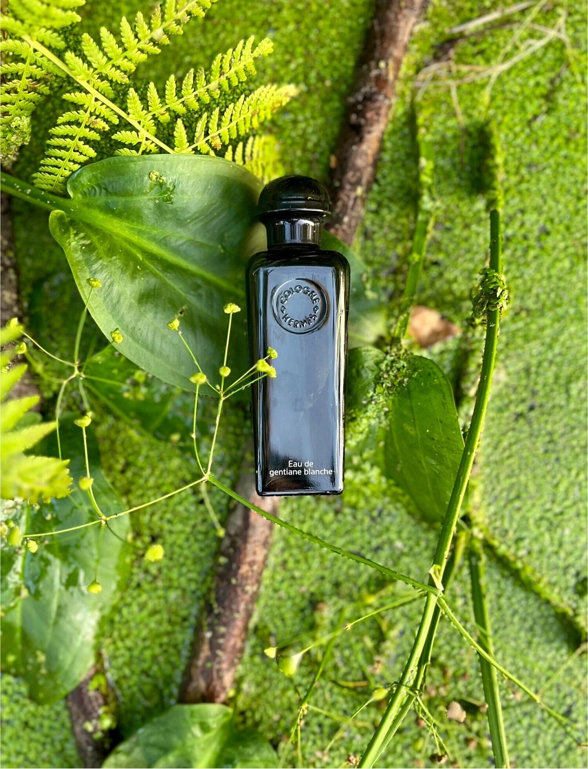 Hermès Eau de Gentiane Blanche