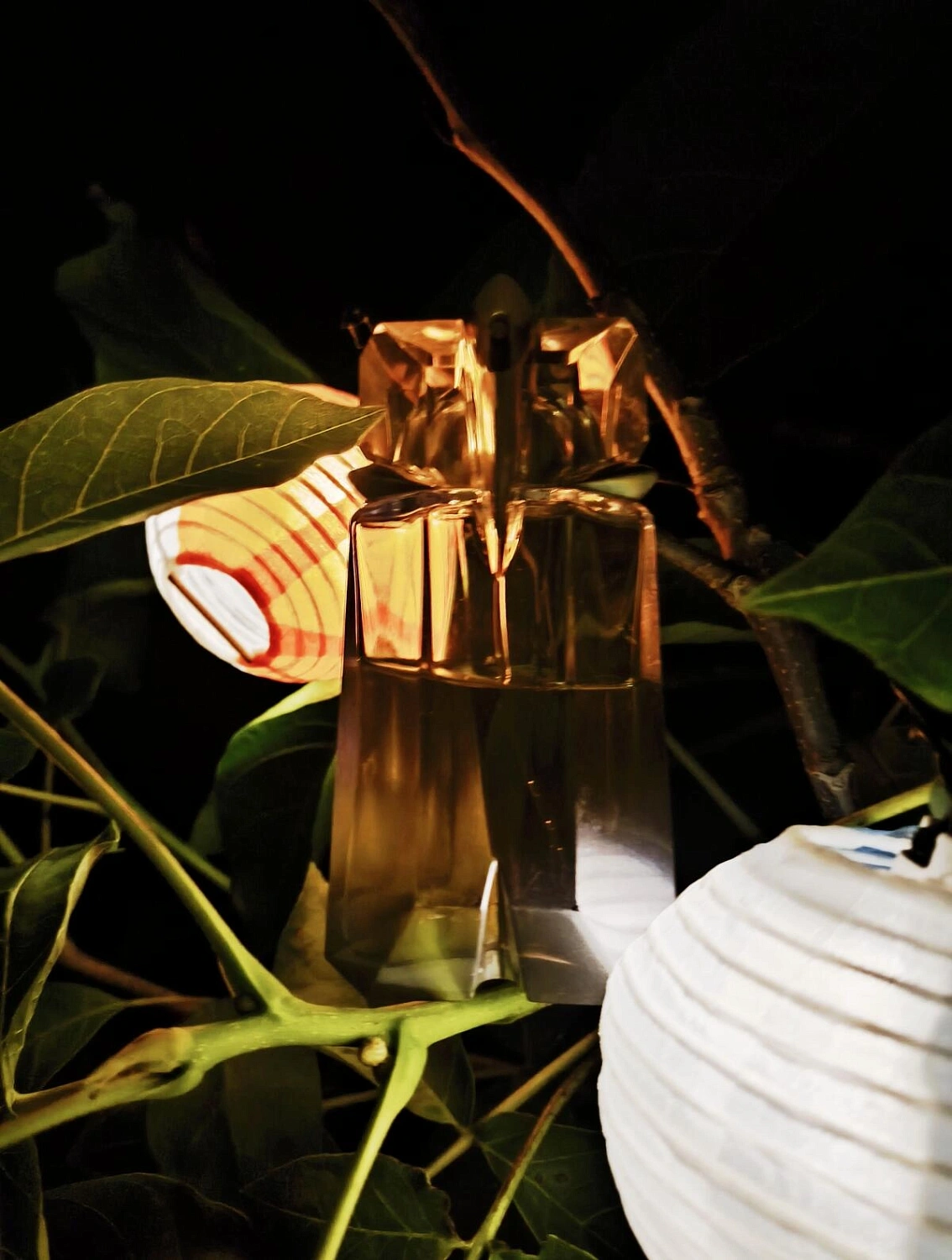 Mugler Alien Aqua Chic 2013 (fleur D'oranger)