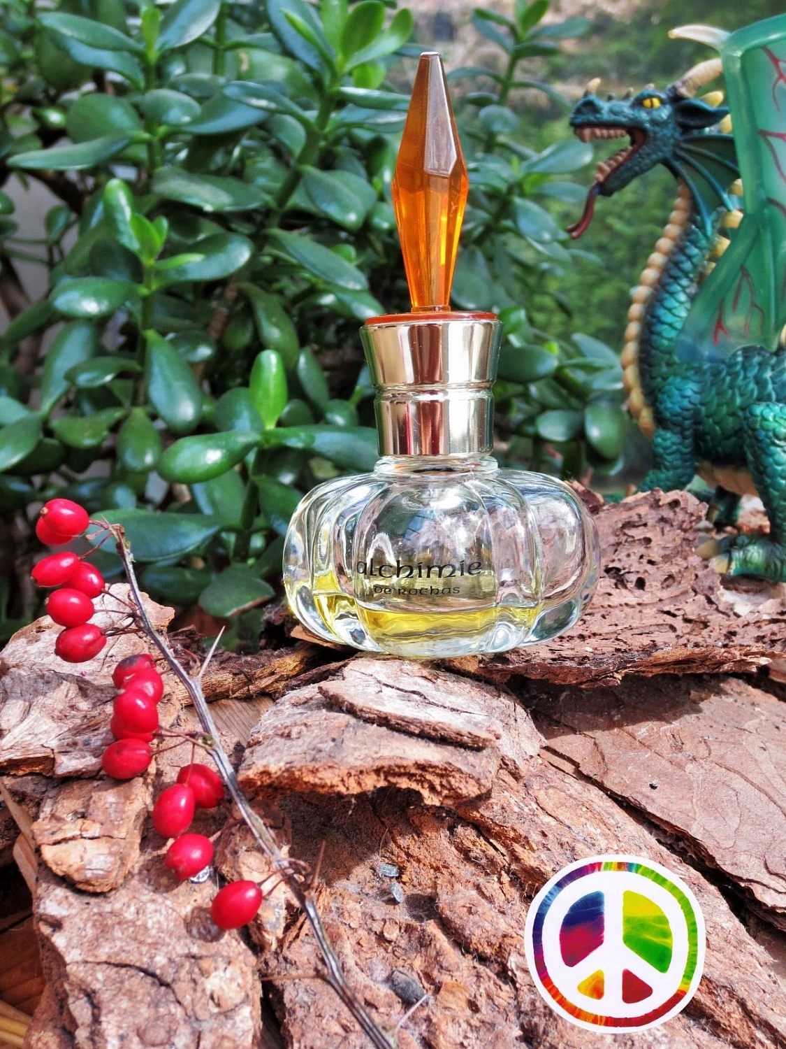 Rochas Alchimie