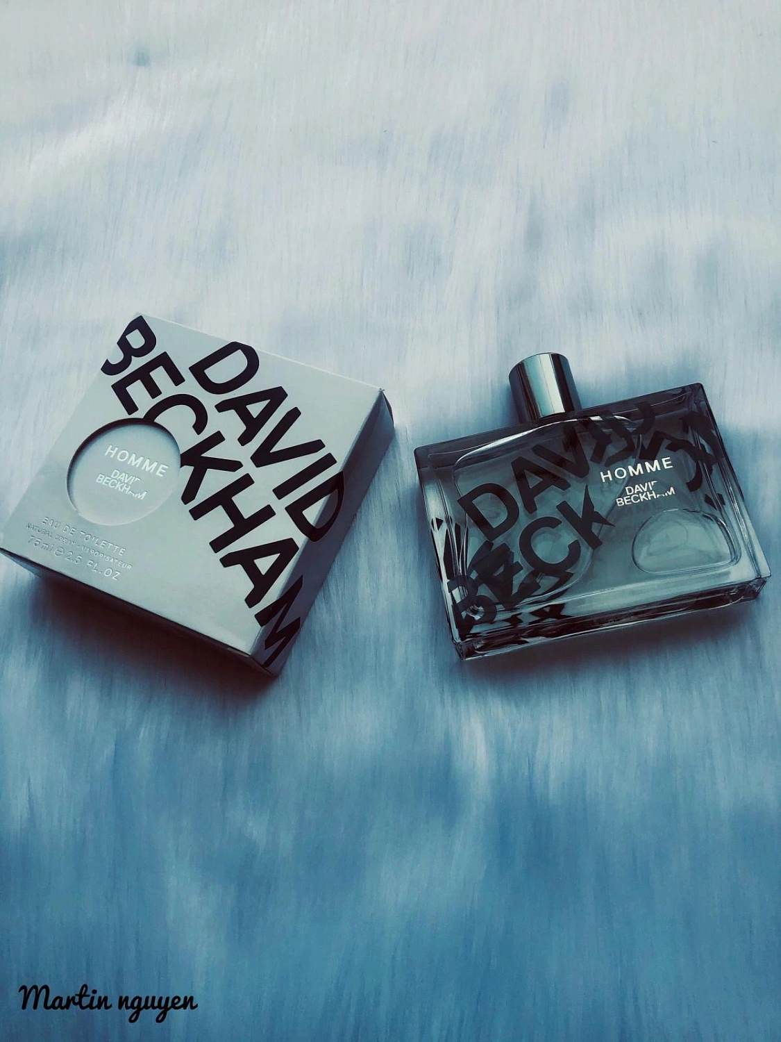 David Beckham Homme