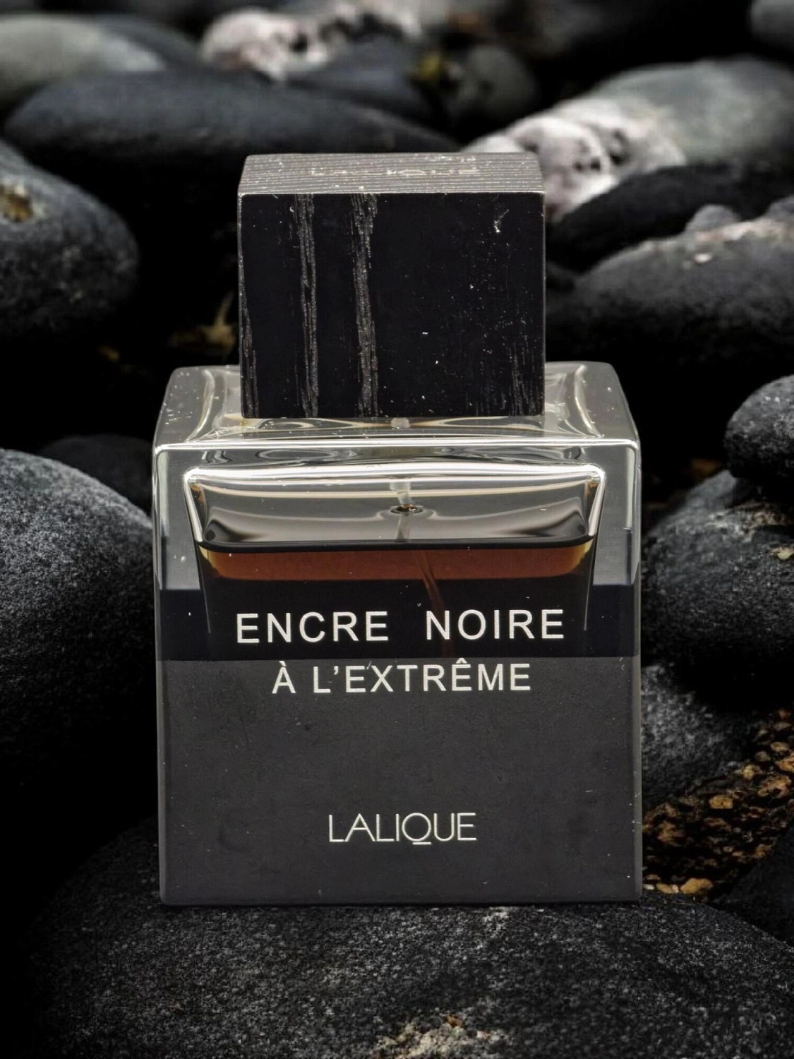 Lalique Encre Noire A L'Extreme
