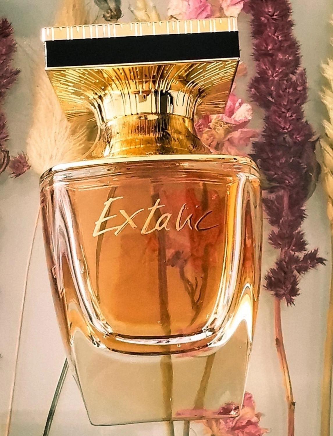 Balmain Extatic