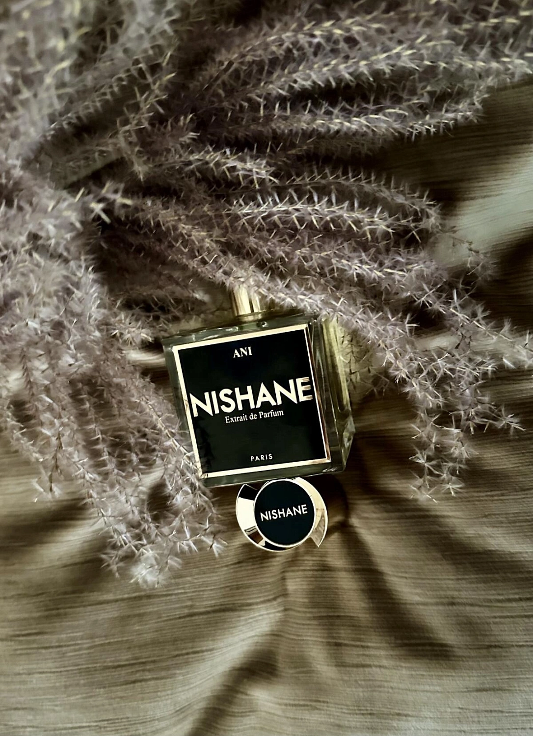 Nishane Ani