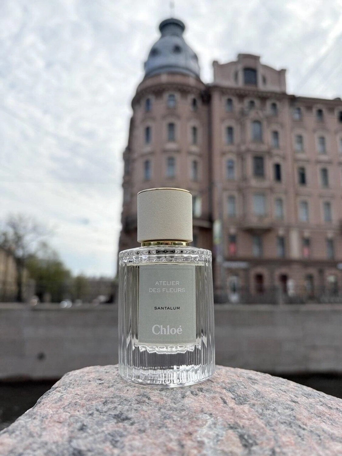 Chloé Santalum