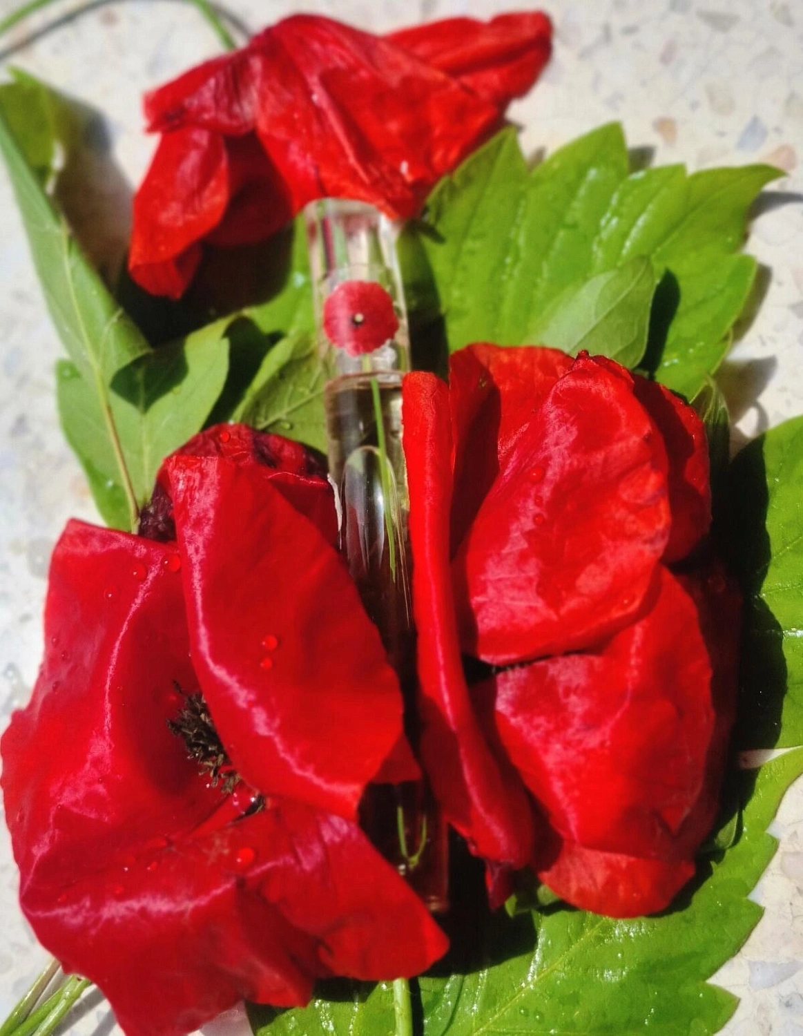 Flower by Kenzo Ryoko