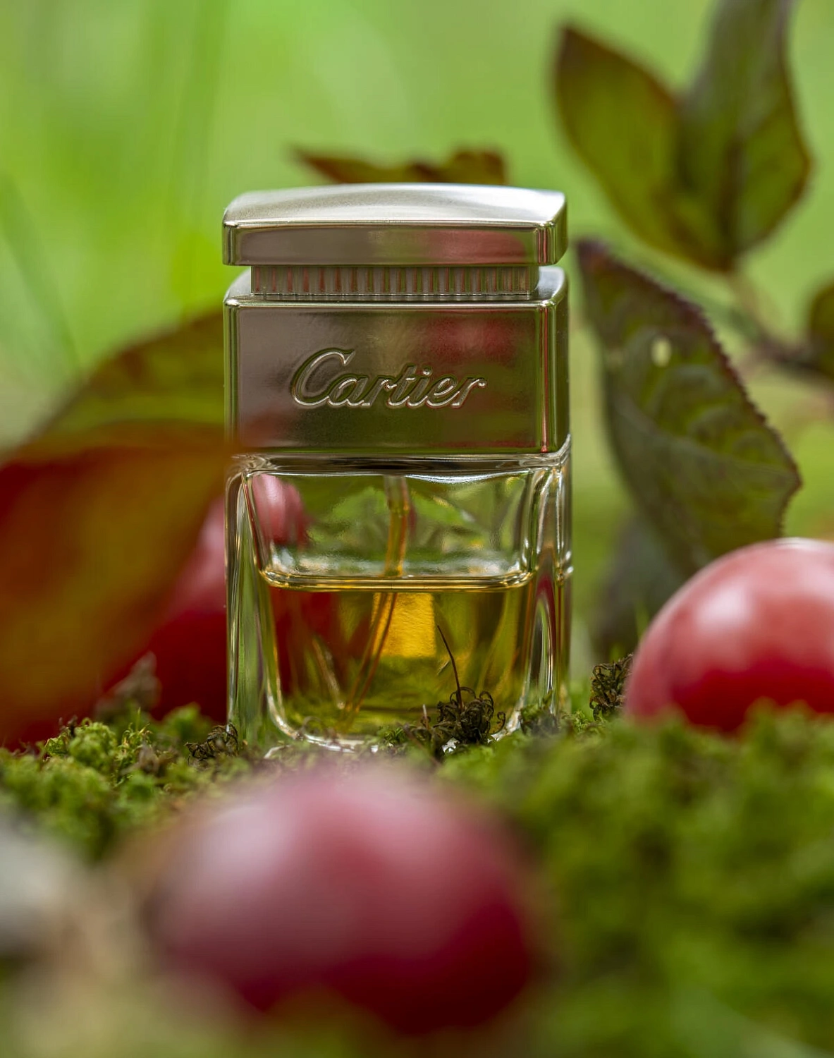 Cartier La Panthere