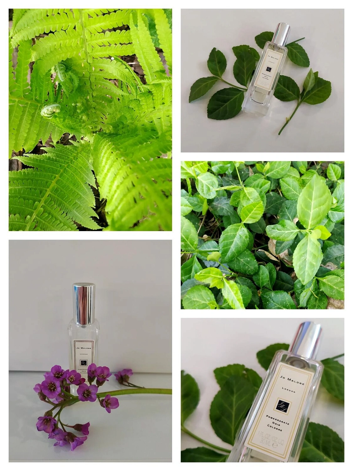 Jo Malone Pomegranate Noir