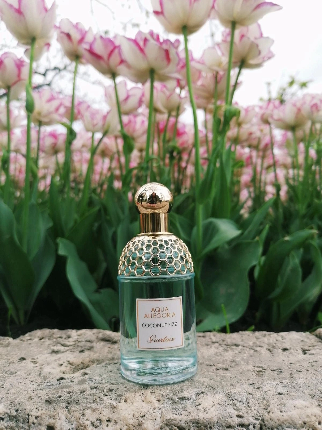 Guerlain Aqua Allegoria Coconut Fizz