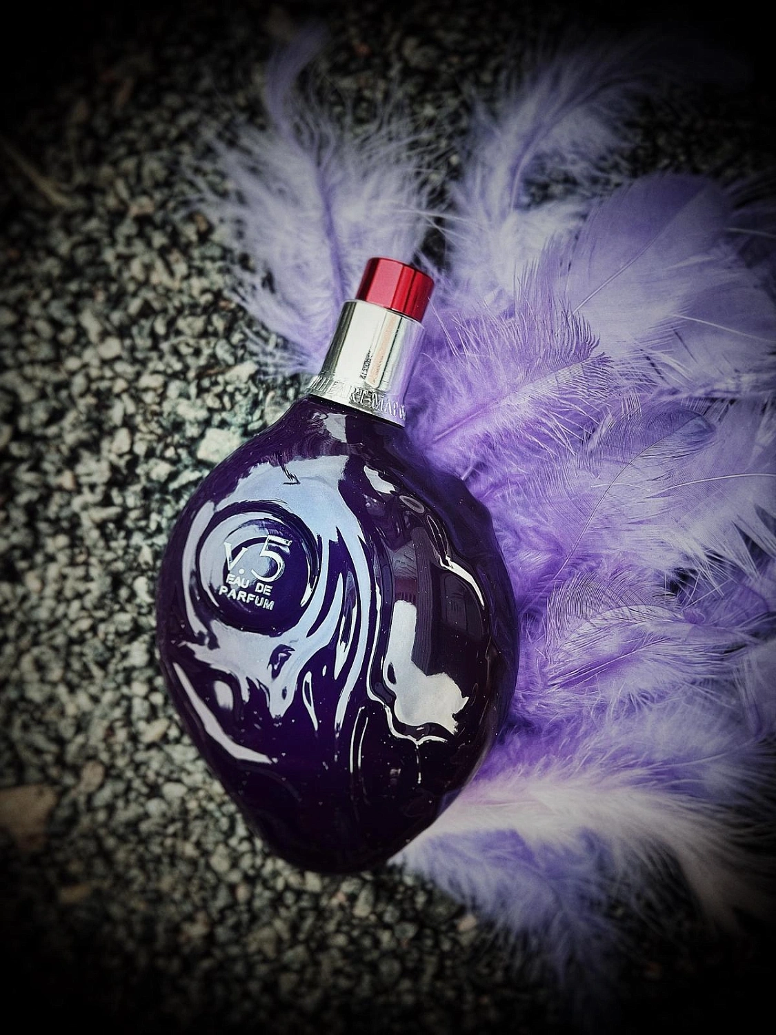 Map of the Heart Purple Heart V 5