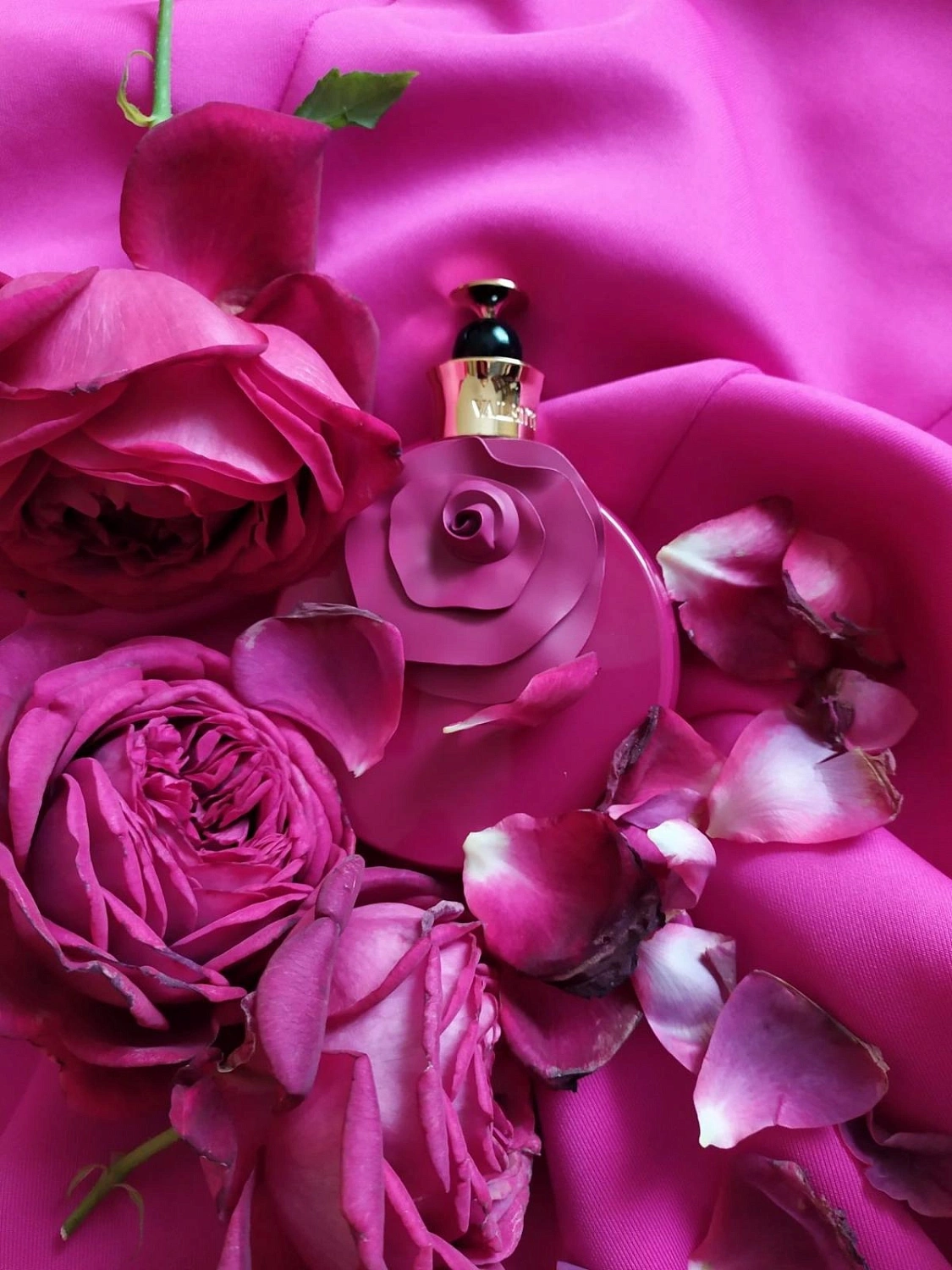 Valentino Valentina Rosa Assoluto