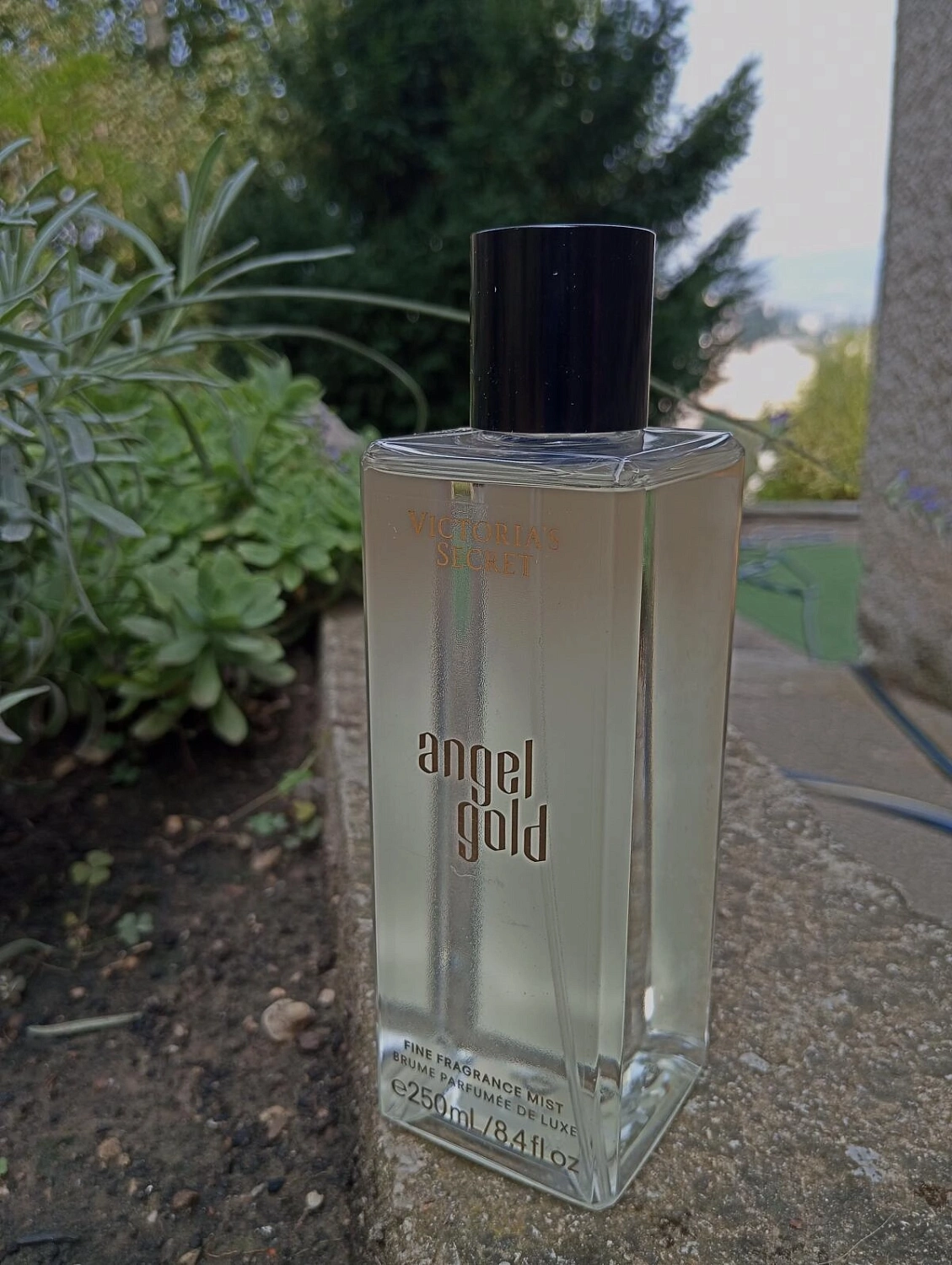 Victoria's Secret Angel Gold
