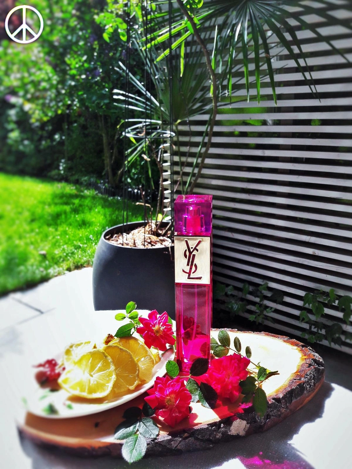 Yves Saint Laurent Elle