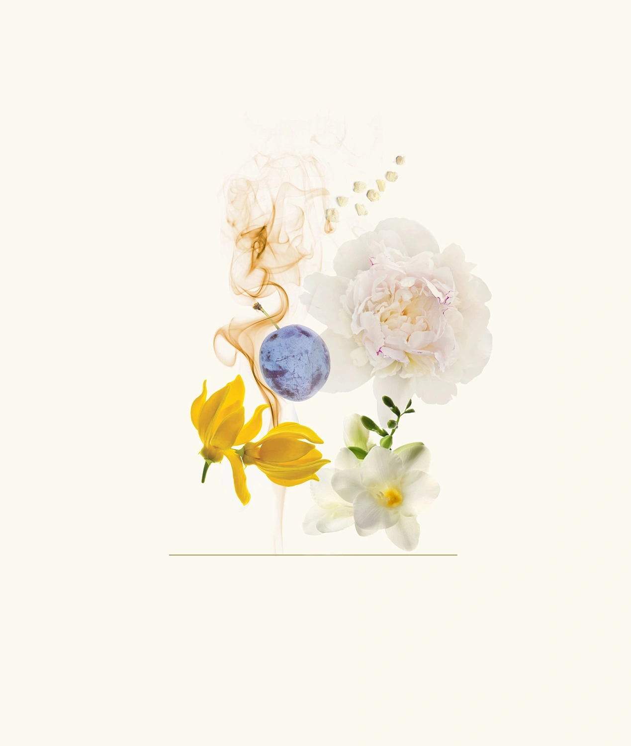 AJ Arabia Widian Rose Arabia White