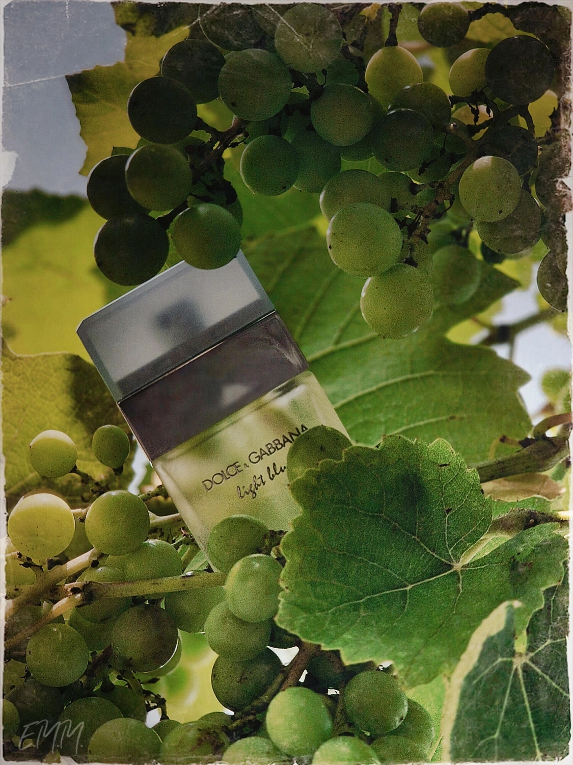 Dolce & Gabbana Light Blue Eau de Toilette 2025
