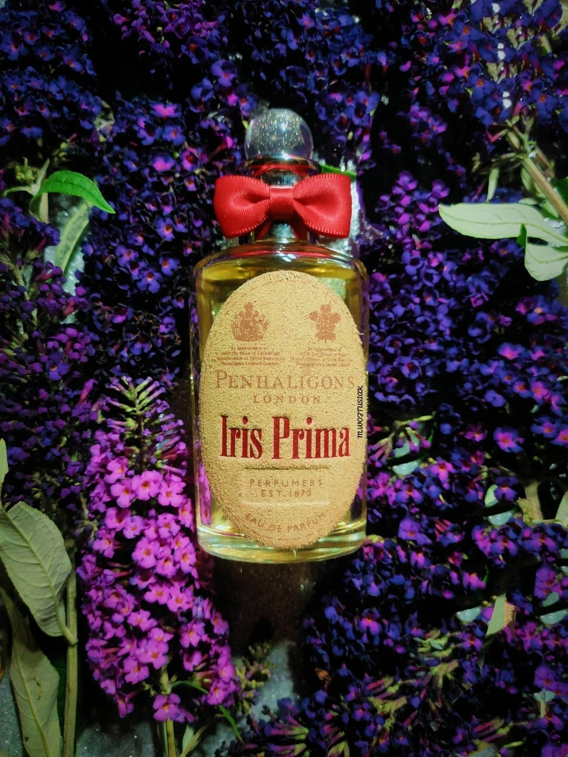 Penhaligon's Iris Prima