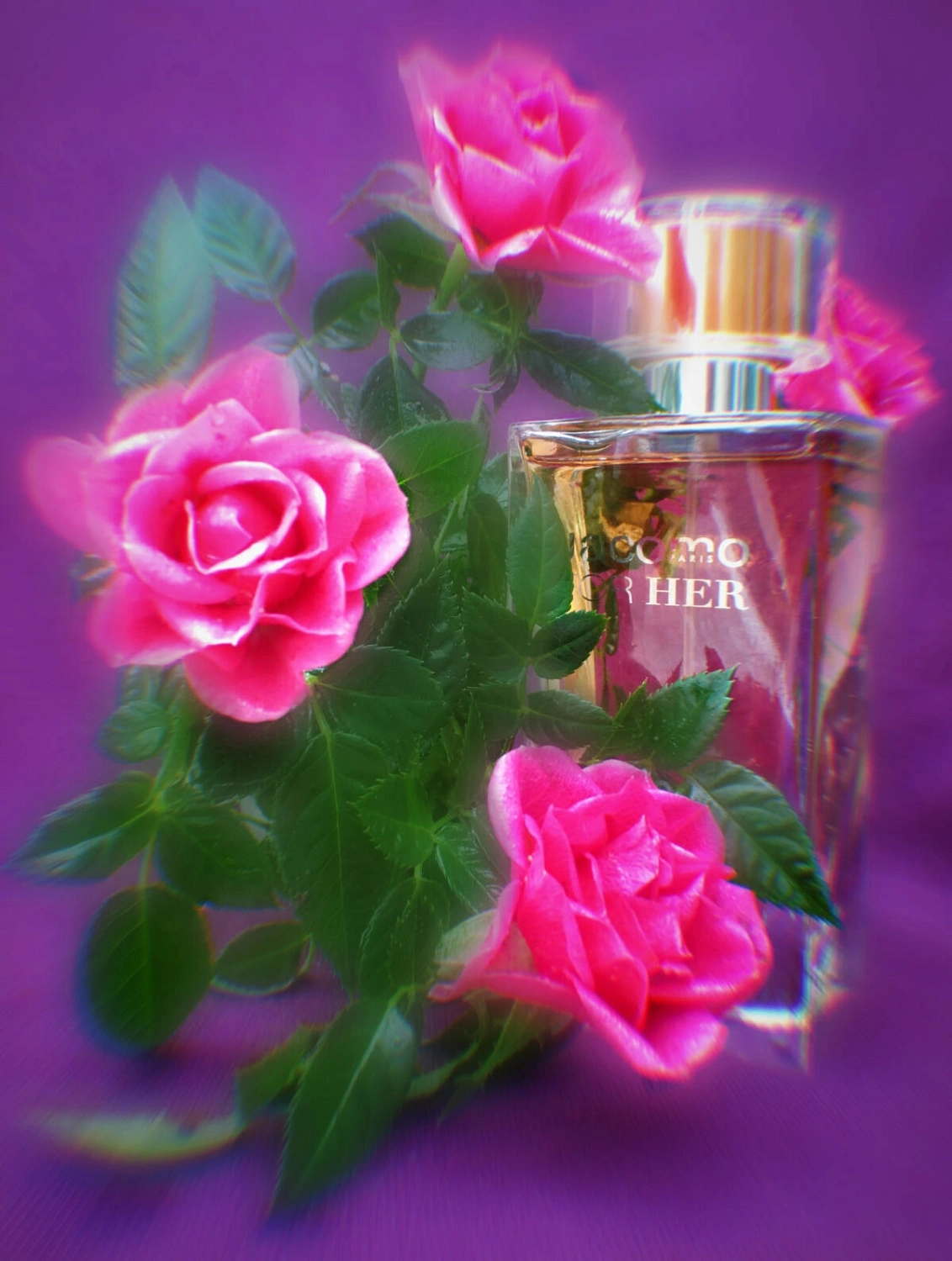 Jacomo For Her