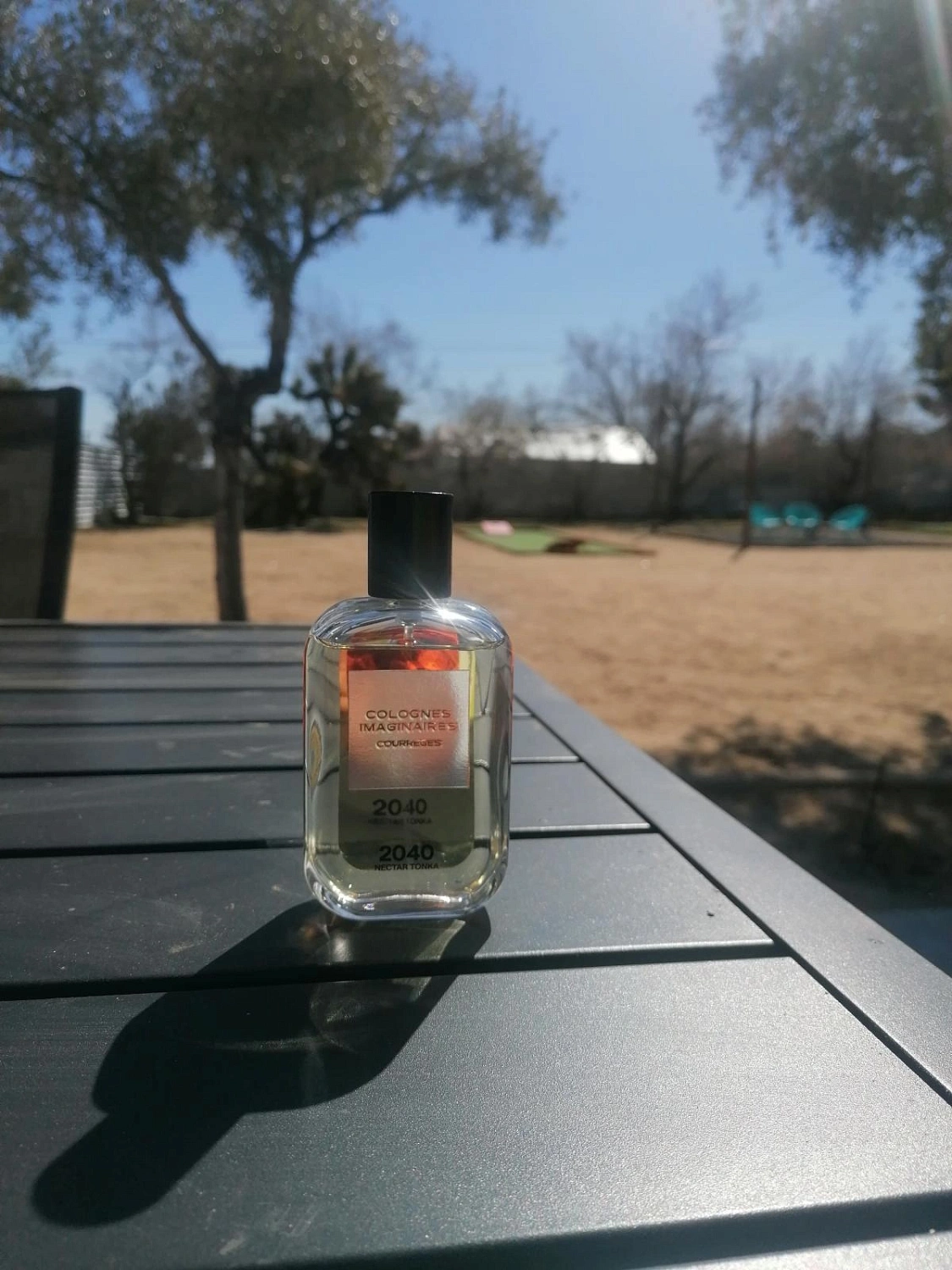 Courrèges 2040 Nectar Tonka
