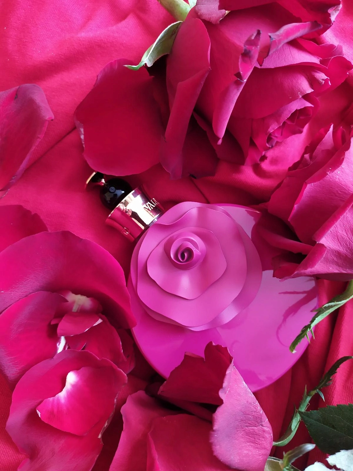 Valentino Valentina Rosa Assoluto