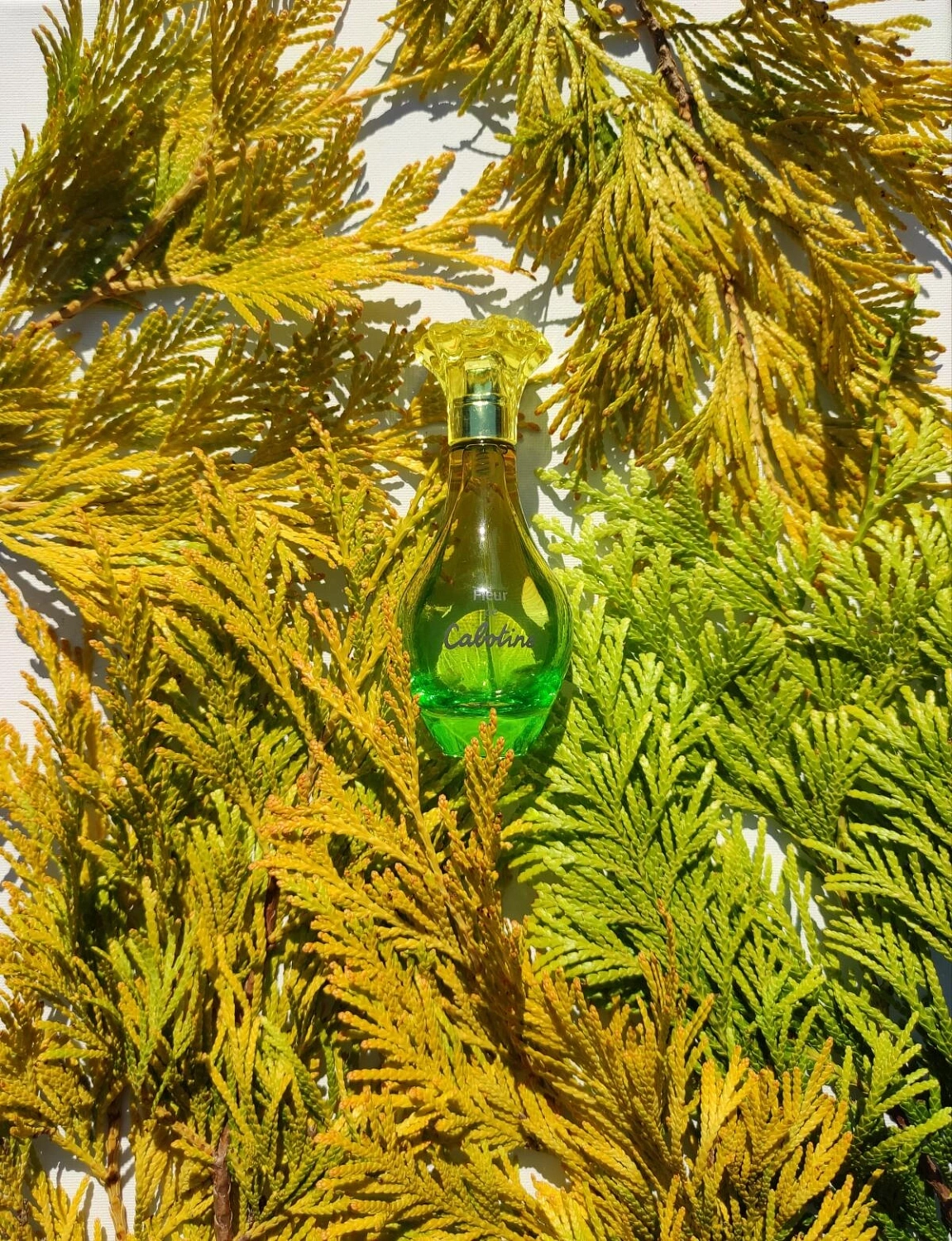 Grès Fleur De Cabotine