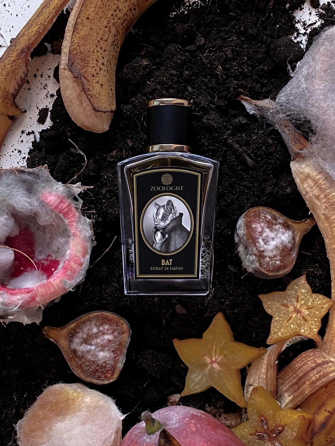 Zoologist Perfumes Bat