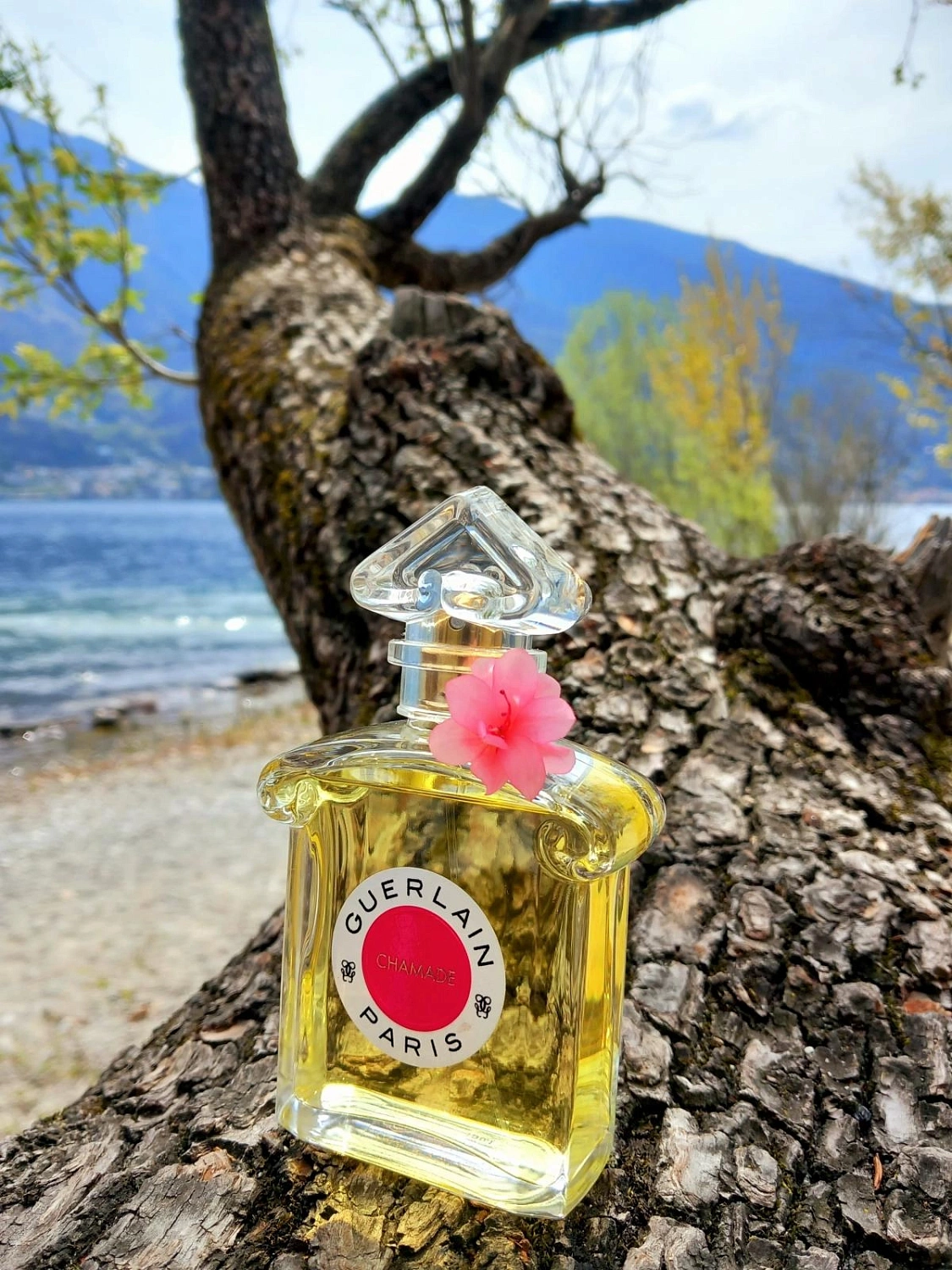 Guerlain Chamade Eau de Toilette